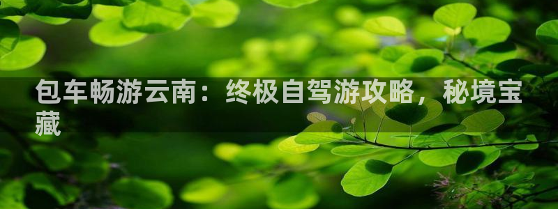 云鼎国际4118登录